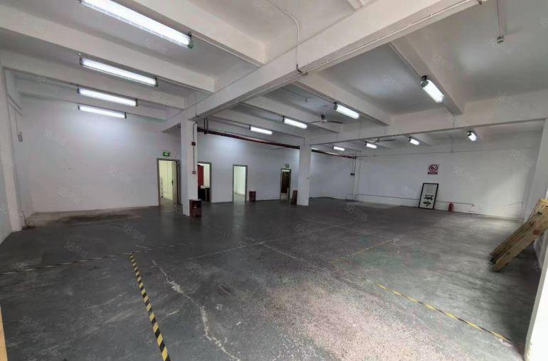 坂田五和原房东400平一楼带装修仓库办公一体低价出租