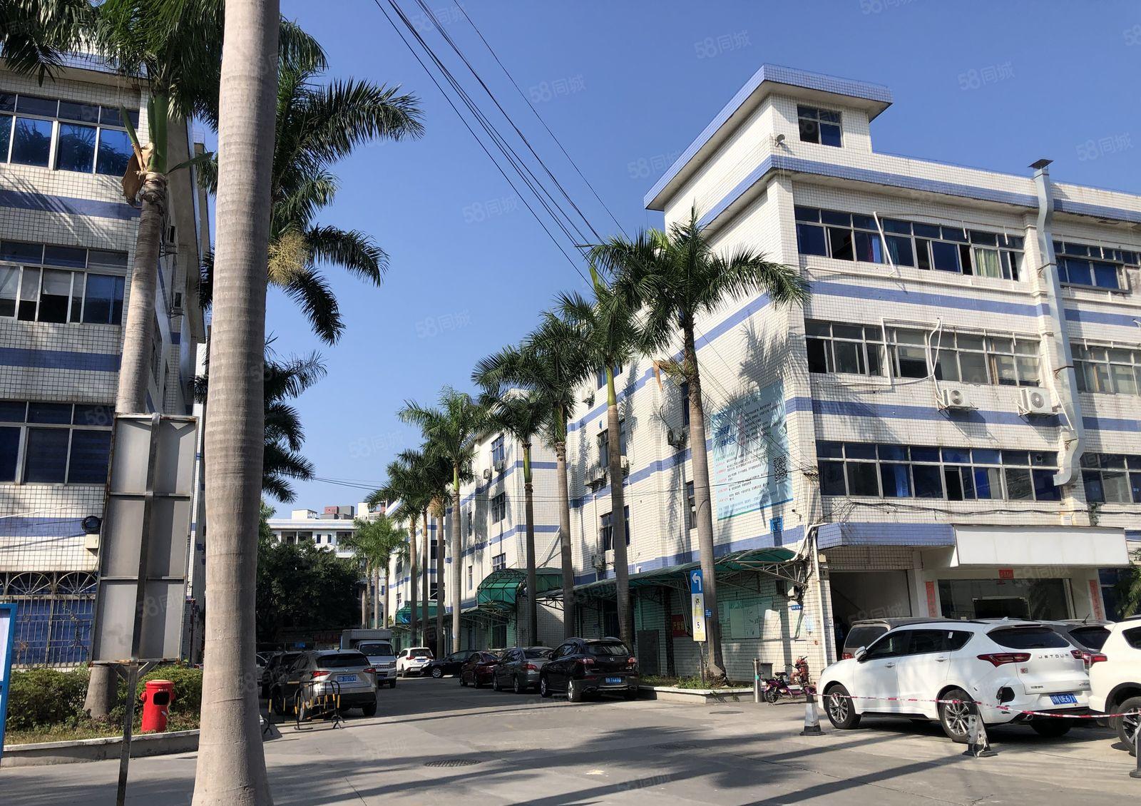 南联科技园新出一楼600平方带红本喷淋厂房出租，可分租