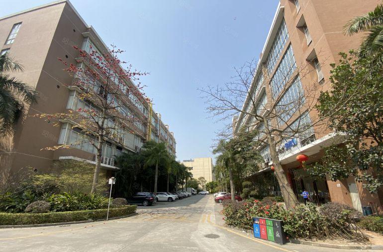 可分租宝龙高新产业园新出整栋10000平精装办公仓库厂房出租