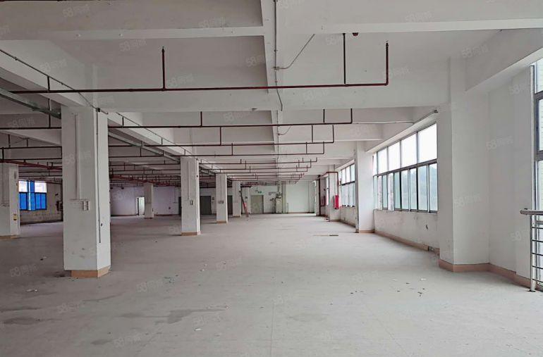 坂田贝尔地铁站旁工改商电商仓库300平起租总面积30000平