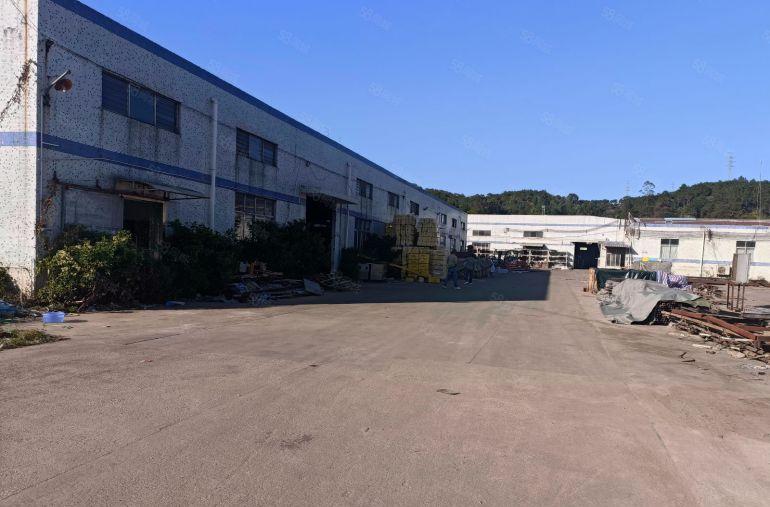 龙岗坪地原房东独栋钢构滴水8米高带办公室现成出租空地大