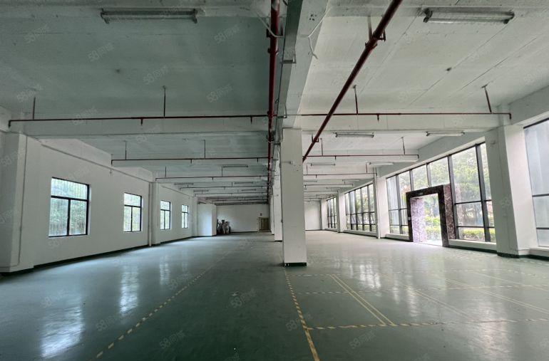 龙岗区同乐原房东一楼厂房1000平出租大小可分带装修交通便利