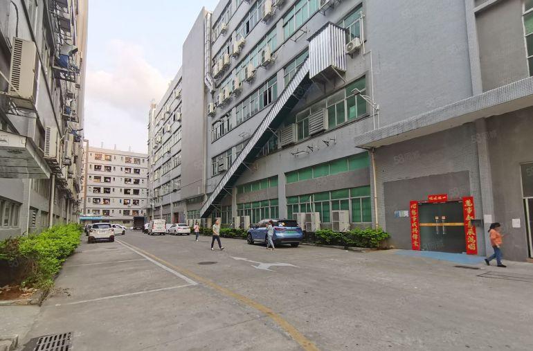 20元租平湖新木原房东2000平方红本厂房仓库带装修可分租