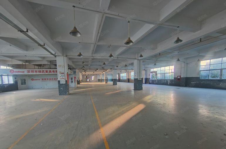 龙岗平湖单层2000平方标准厂房1000平方可分租带宿舍楼