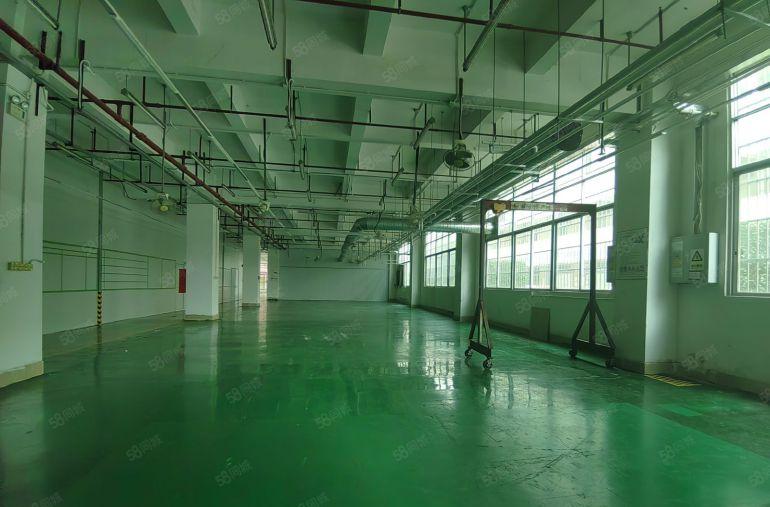 龙岗南联第五工业区新出一楼1000平方厂房仓库出租 形象好