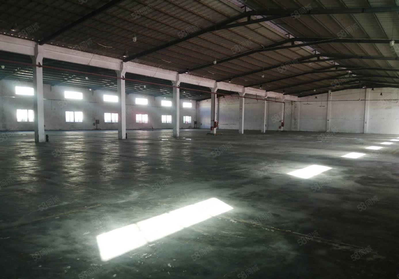 中心城原房东物流园 仓库3000平钢构招租 带卸货平台