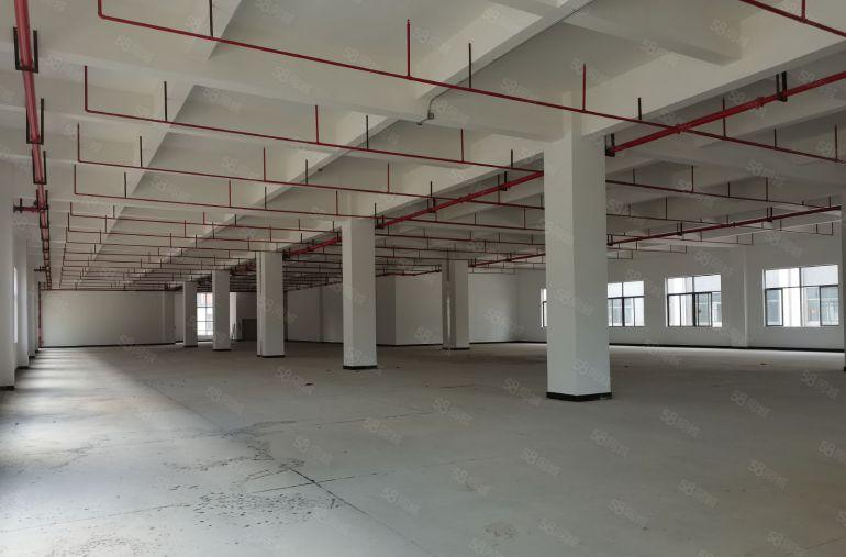 20元低价起租坂田上雪工业园区一楼标准1000平厂房出租