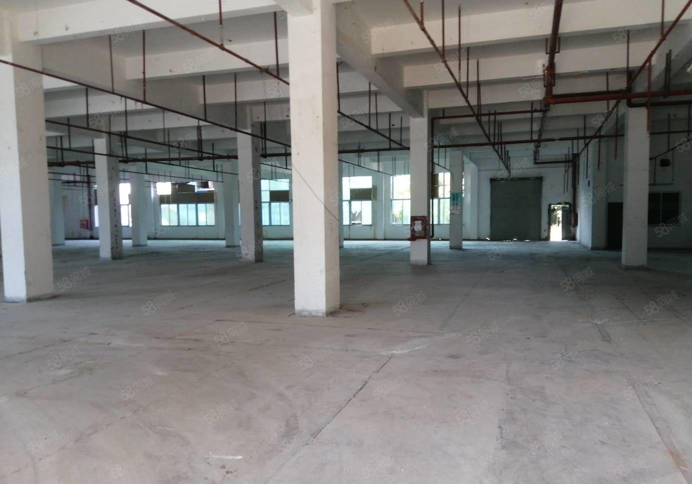 500起租横岗地铁站附近原房东独门独院15000平 精装厂房