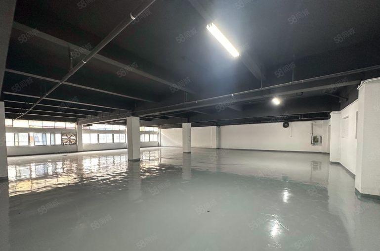 平湖广场一二楼170平至5000平精装修电商产业园厂房出租
