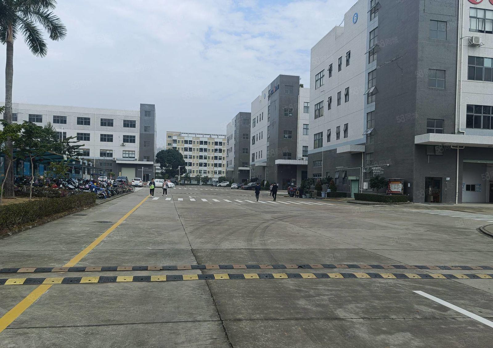 龙岗新出1000平至8000平厂房仓库一二楼出租独院大小分租