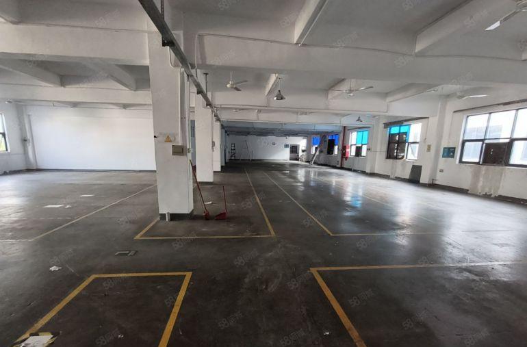 房东直租0押金龙岗新生厂房出租仓库出租 20元新装修送免租