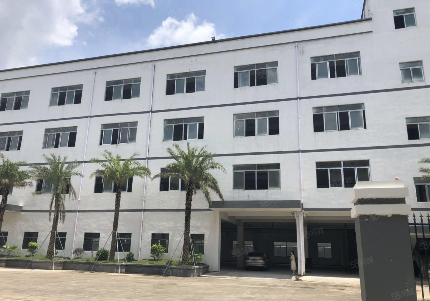 业主直租爱联嶂背独院一二楼500平起租带精装修厂房仓库出租