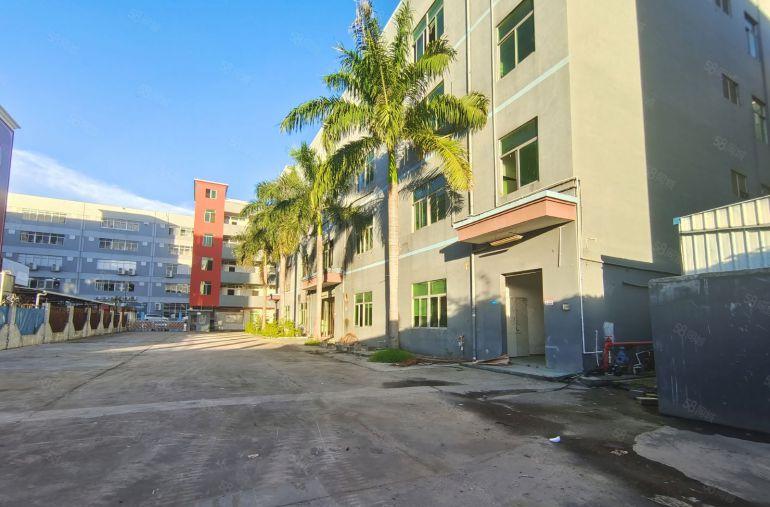 龙岗原房东红本独院6000平方厂房低价出租合同10年主干道边