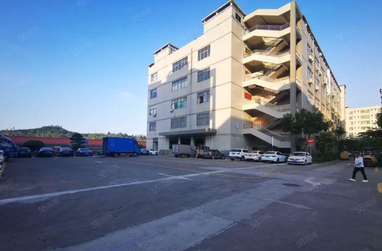 龙岗中心城工业园新空出2000平方厂房仓库低价出租