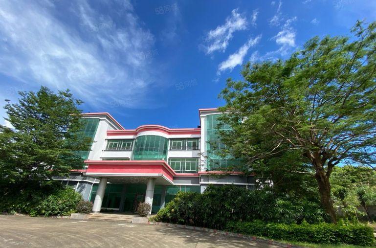 龙岗宝龙独门独院原房东红本面积16500平精装修办公厂房出租