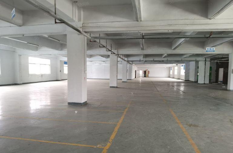 龙岗宝龙同乐工业区红本厂房2600平出租场地大易招工可办环评