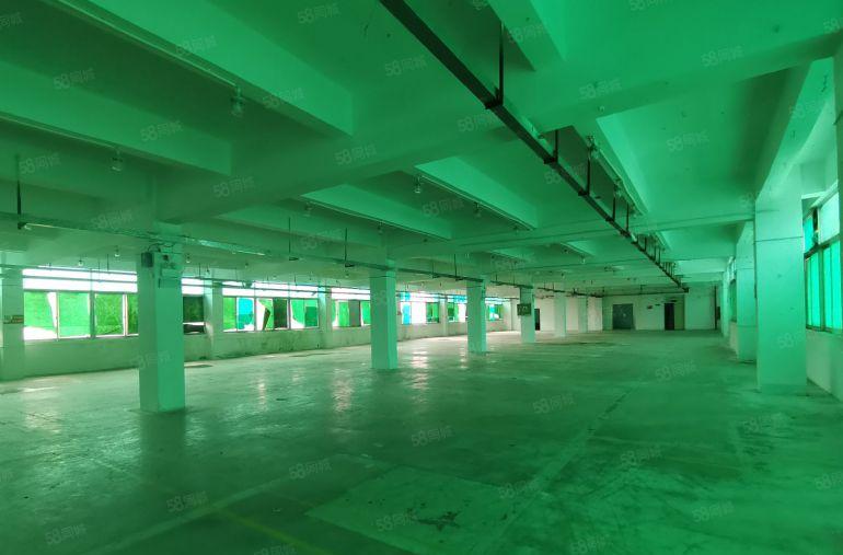 龙岗平湖富民工业园一楼3000平方厂房出租带消防喷淋和牛角位