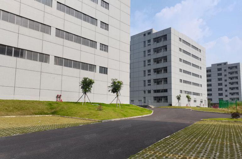 深圳横岗独门独院一楼仓库厂房出租1800平方  独立停车位