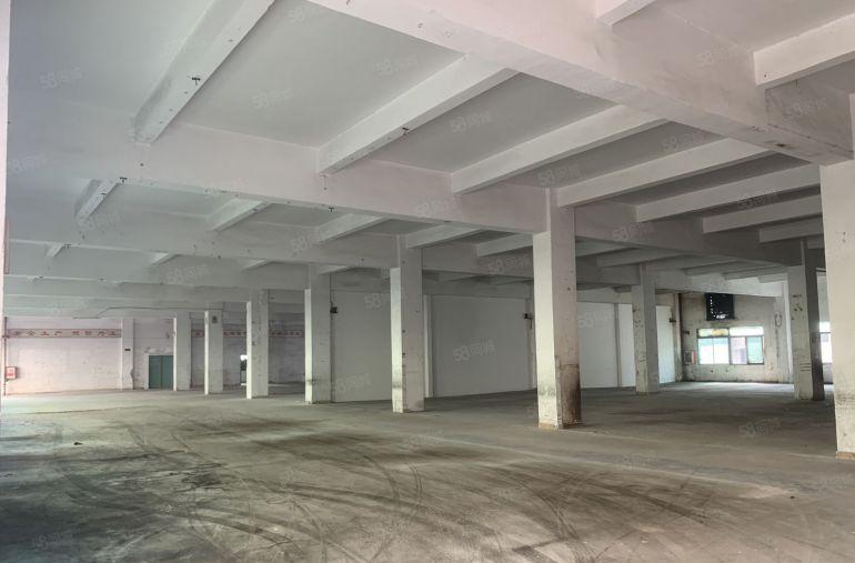 龙岗南联第六工业园3楼350平厂房仓库出租报价18元 可分租