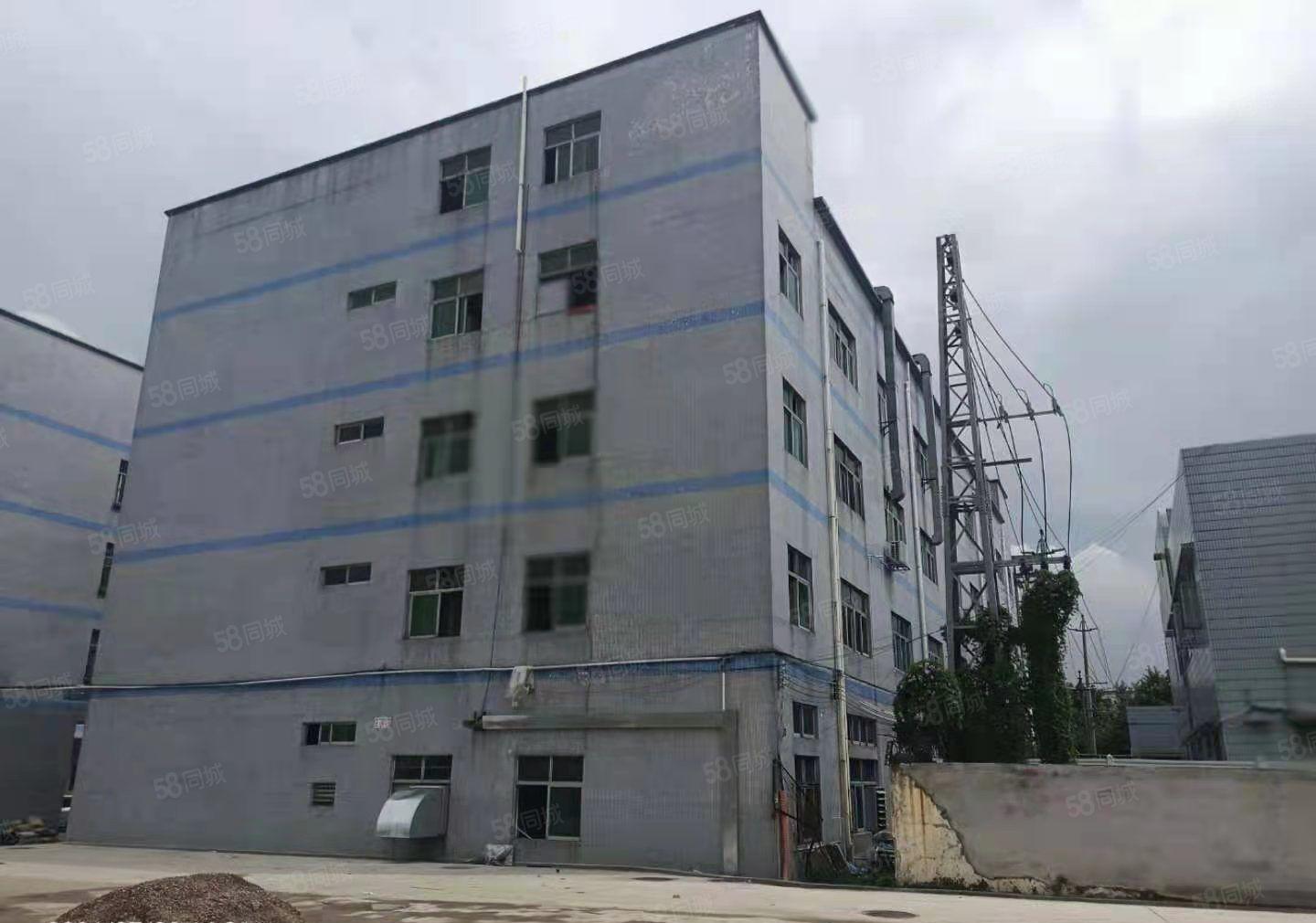 宝龙原房东独院原房东红本60000平厂房仓库出租可整租可分租