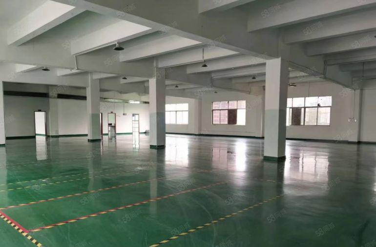 平湖海吉星附近独门独院3600平方厂房出租