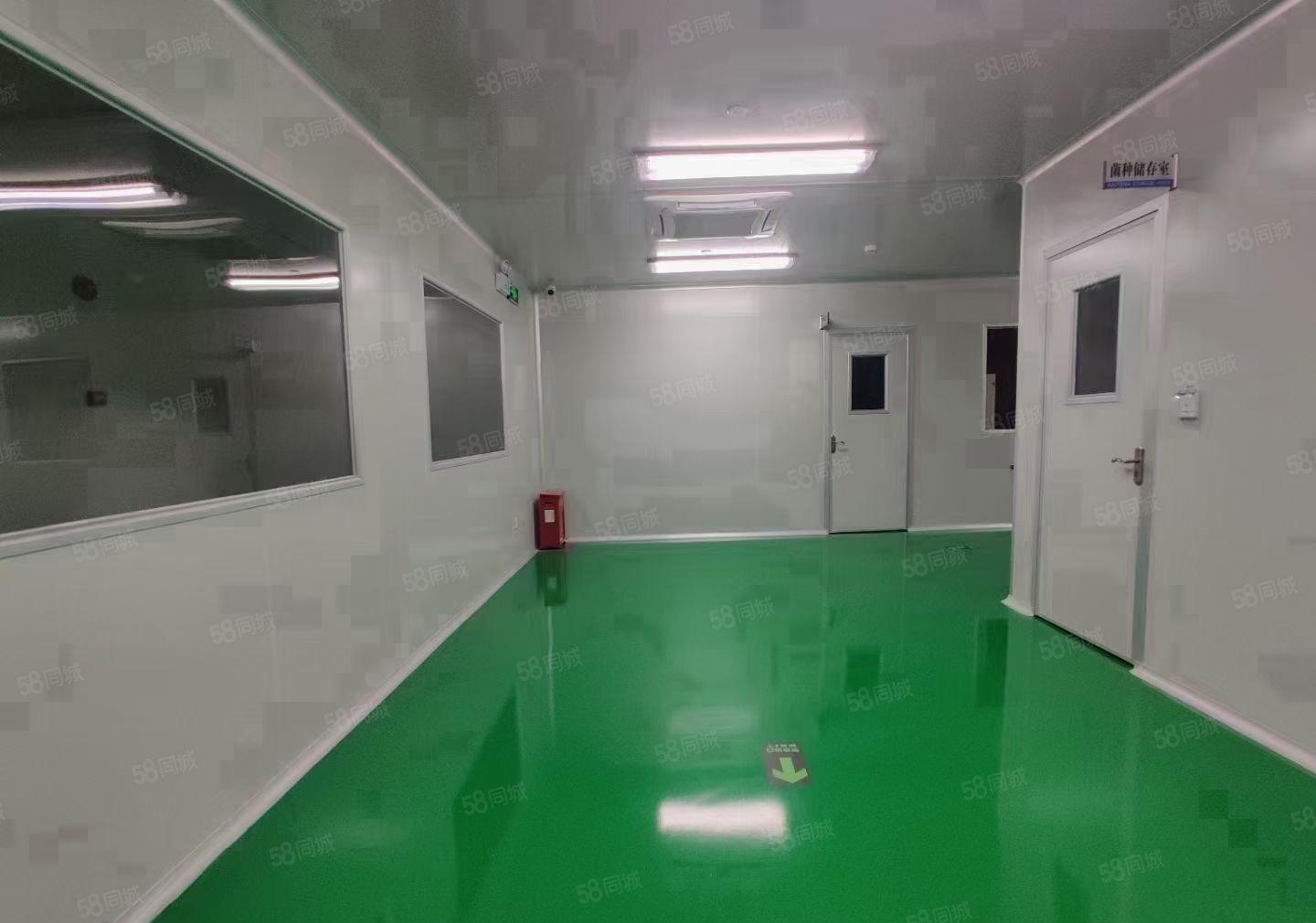 布吉2000平原房东红本大型工业园区超高使用率每栋配有3吨货