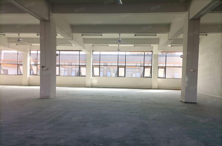 龙岗平湖！1150平！电商产业园！倾心升级办公厂房出租！