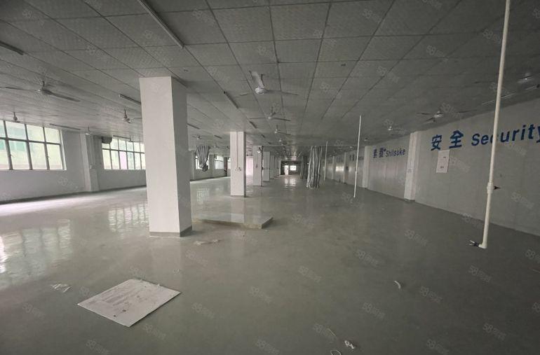 龙岗坪地1435平地铁精装修无尘车间低价厂房仓库空地一楼出租