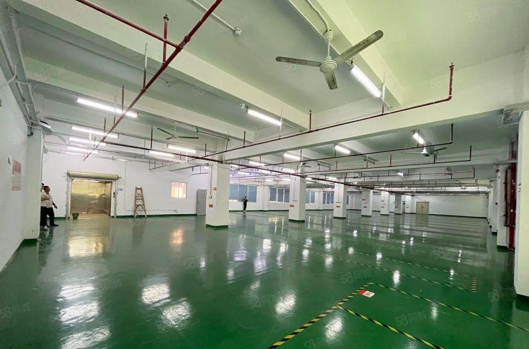 （厂房出租）岗头厂房3楼面积1200平出租户型方正采光好