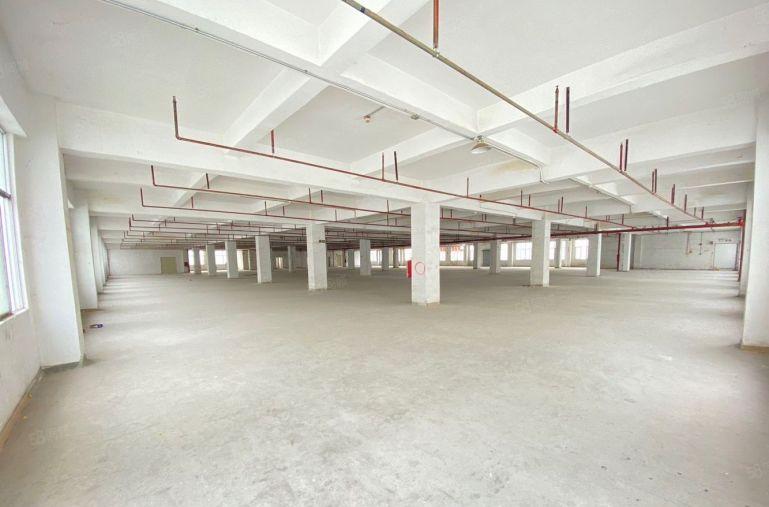 布吉坂田原房东实际面积1000平独栋厂房出租带精装修办公室