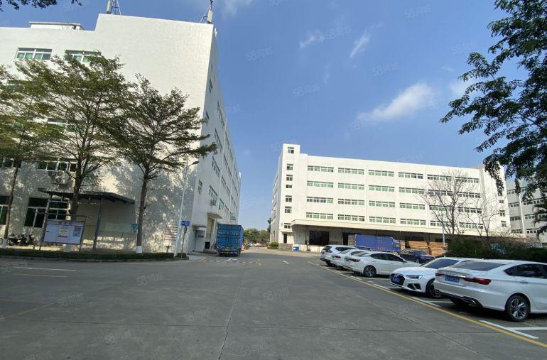 特价横岗园山村委厂房直租楼上1000平精装修办公仓库厂房出租