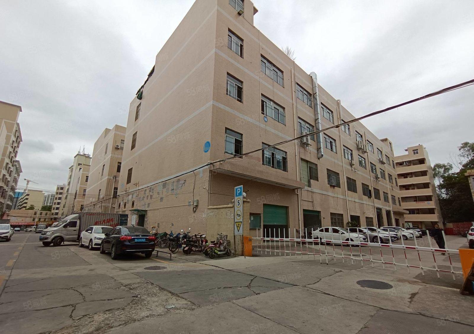 龙岗南联一楼900平厂房出租，园区空地大交通便利可进大车！