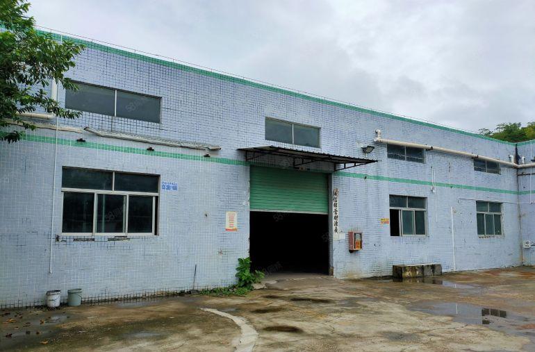 坪地原房东1500平独院钢构厂房出租仓库分租 铁皮房空地大