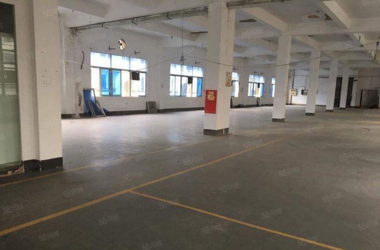 龙岗南联工业区一楼2000平仓库厂房出租 500平起分租