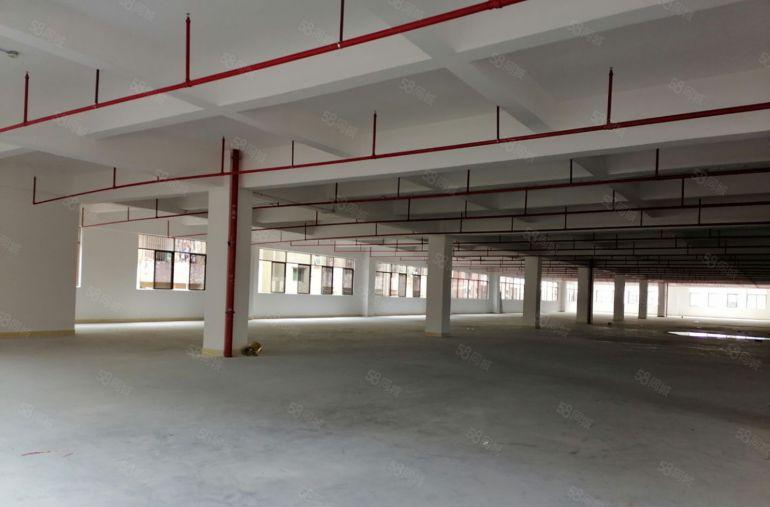 龙岗宝龙高新产业园宝龙地铁口2600平4380平厂房出租