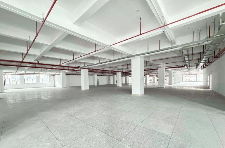 龙岗区坪地低碳城大型工业园区招租，500平起租，租金便宜