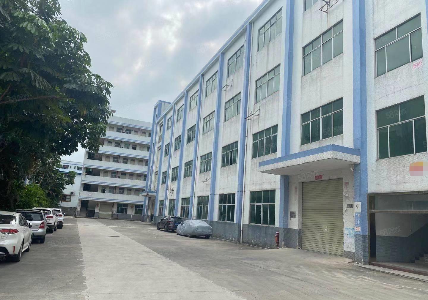 龙岗嶂背新空出2楼1500平方带精装修前台和办公室厂房出租