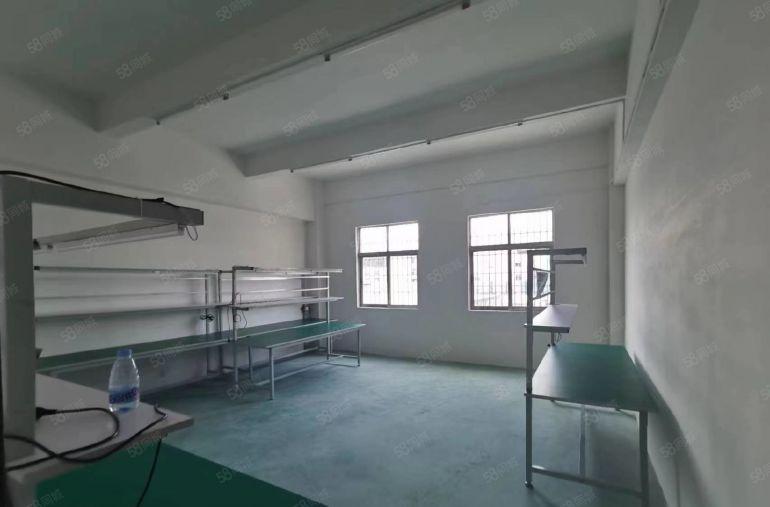 横岗荷坳1300平带现成流水线装修厂房面积