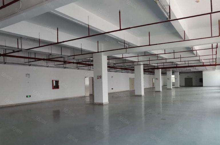 坂田  原房东使用率9成 整层2000平标准红本厂房出租