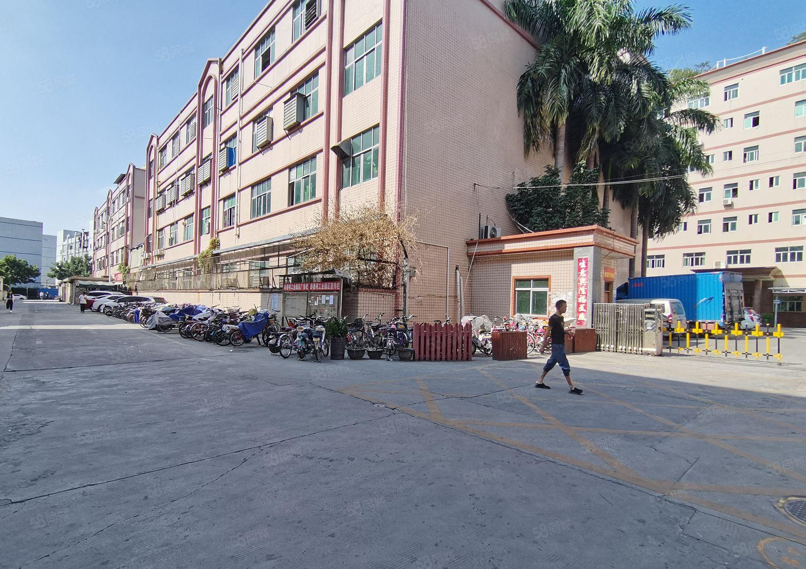 平湖杉坑工业区二楼1000平方三楼1000平方厂房 仓库出租