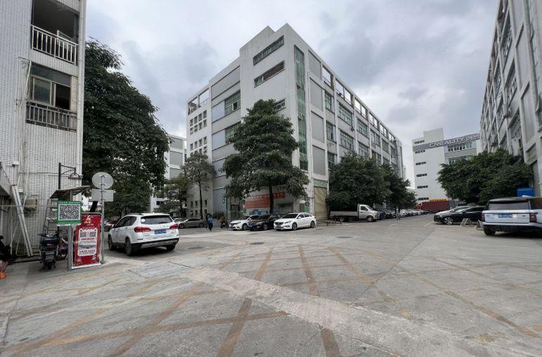 平湖原房东一楼厂房1380平方仓库出租带红本现成办公室地坪漆