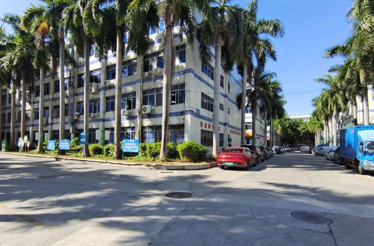 龙岗爱联原房东科技园500平方精装修办公室厂房仓库出租