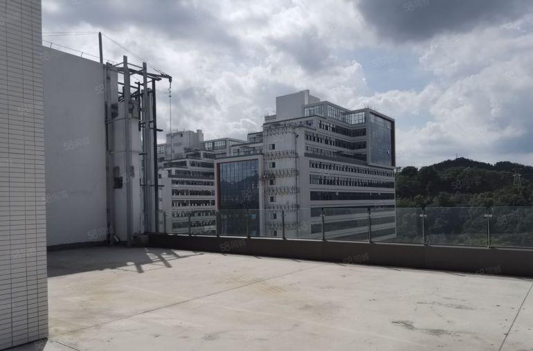 龙岗阿波罗地铁口百旺达产业园高标厂房带露台500平起业主直租