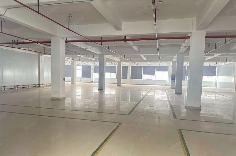 龙岗宝龙地铁口原房东单层2000平厂房出租独栋厂房出租分租