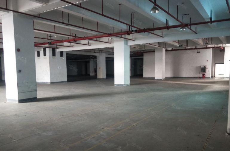 平湖附近仓库直租，可分租，海运集货仓.可提供装卸等配套服务。