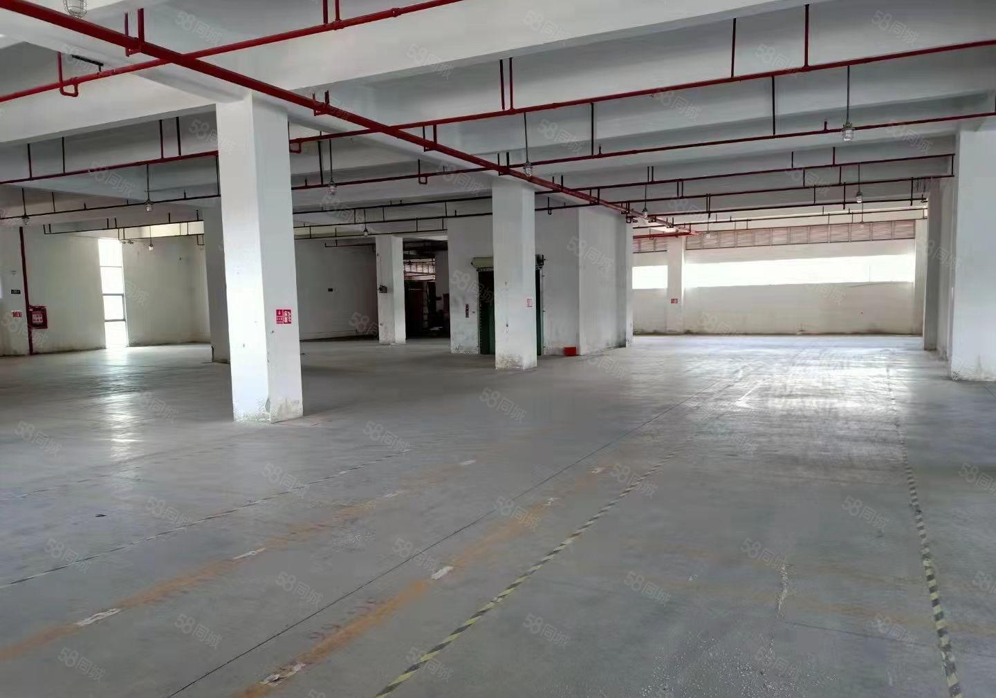 平湖白泥坑海吉星物流园边上了5米高1楼1500平方出租可分租