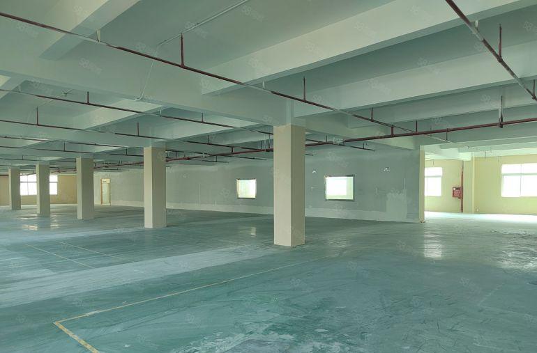 龙岗宝龙高新科技园区800平特价出租，可以分组。带3吨电梯