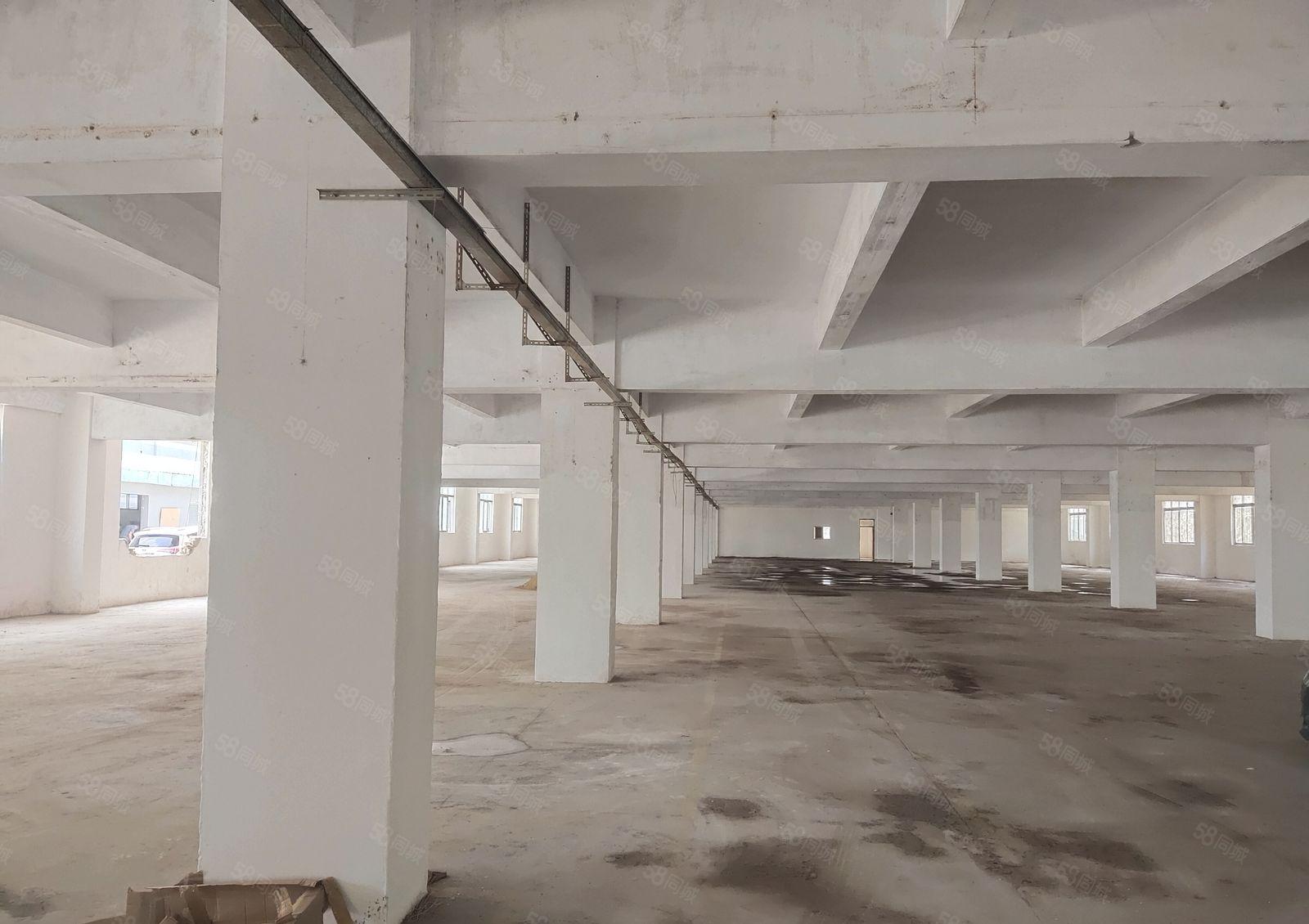 横岗六约工业区独院一楼2千平红本标准仓库厂房出租可分租空地大