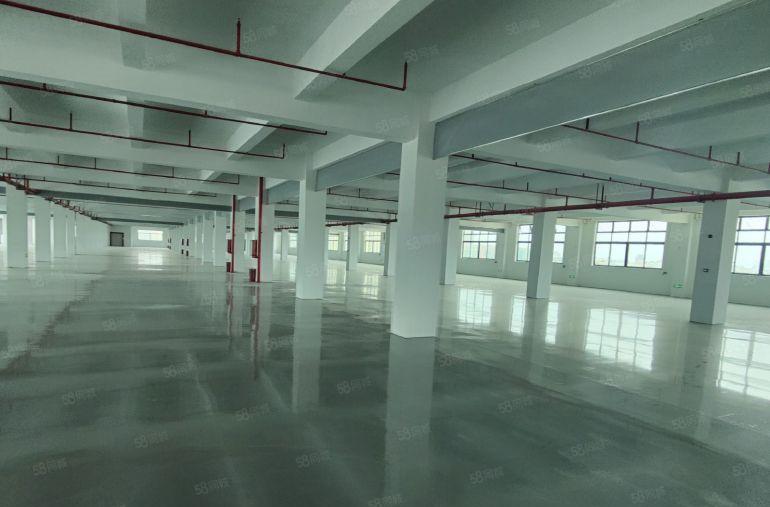 龙岗!精装修无尘车间厂房出租3000平方工业园 小型厂房