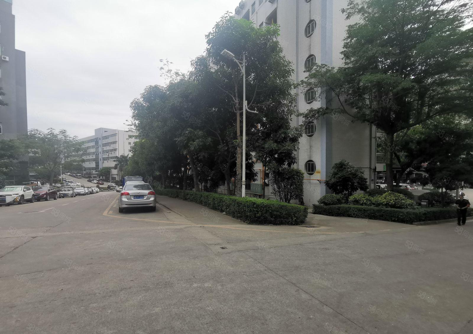 100平起租坂田上雪工业园带精装修电商办公室一楼仓库厂房出租